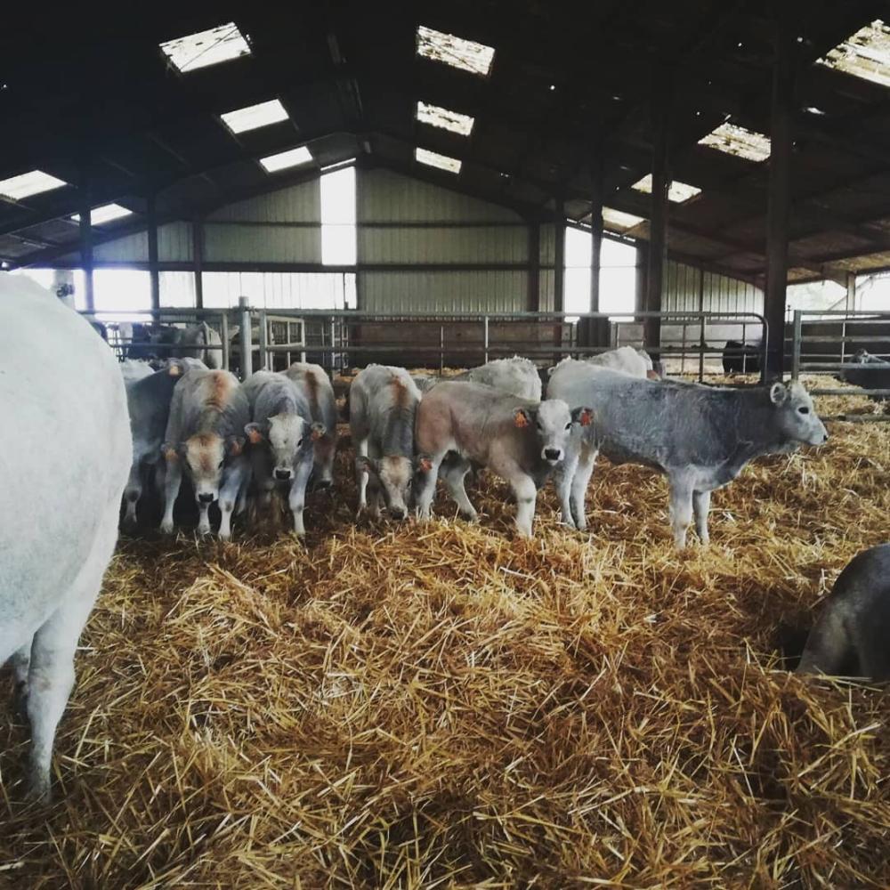 ferme bio